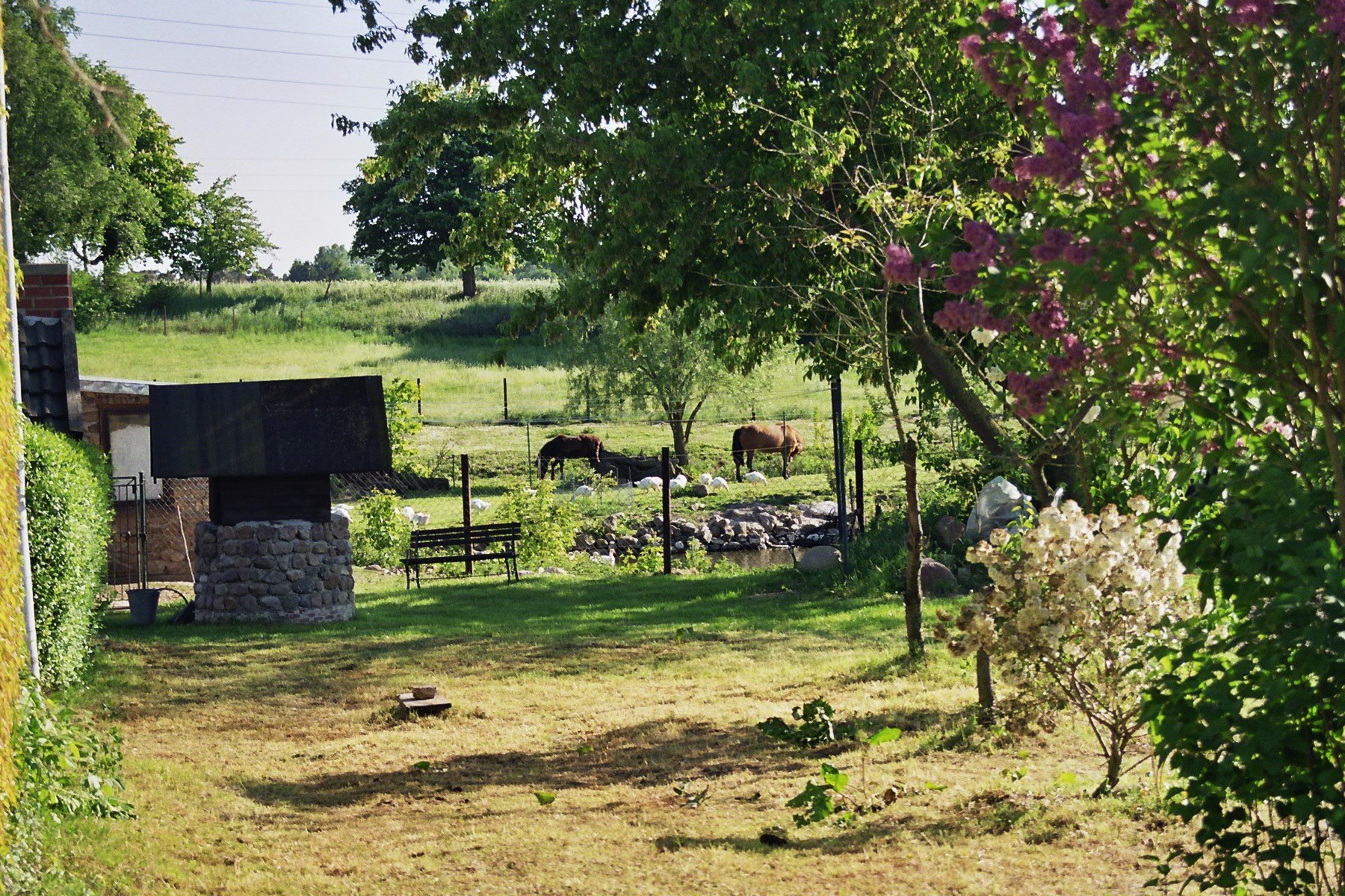 Wiese - Blick auf Rita und Felix