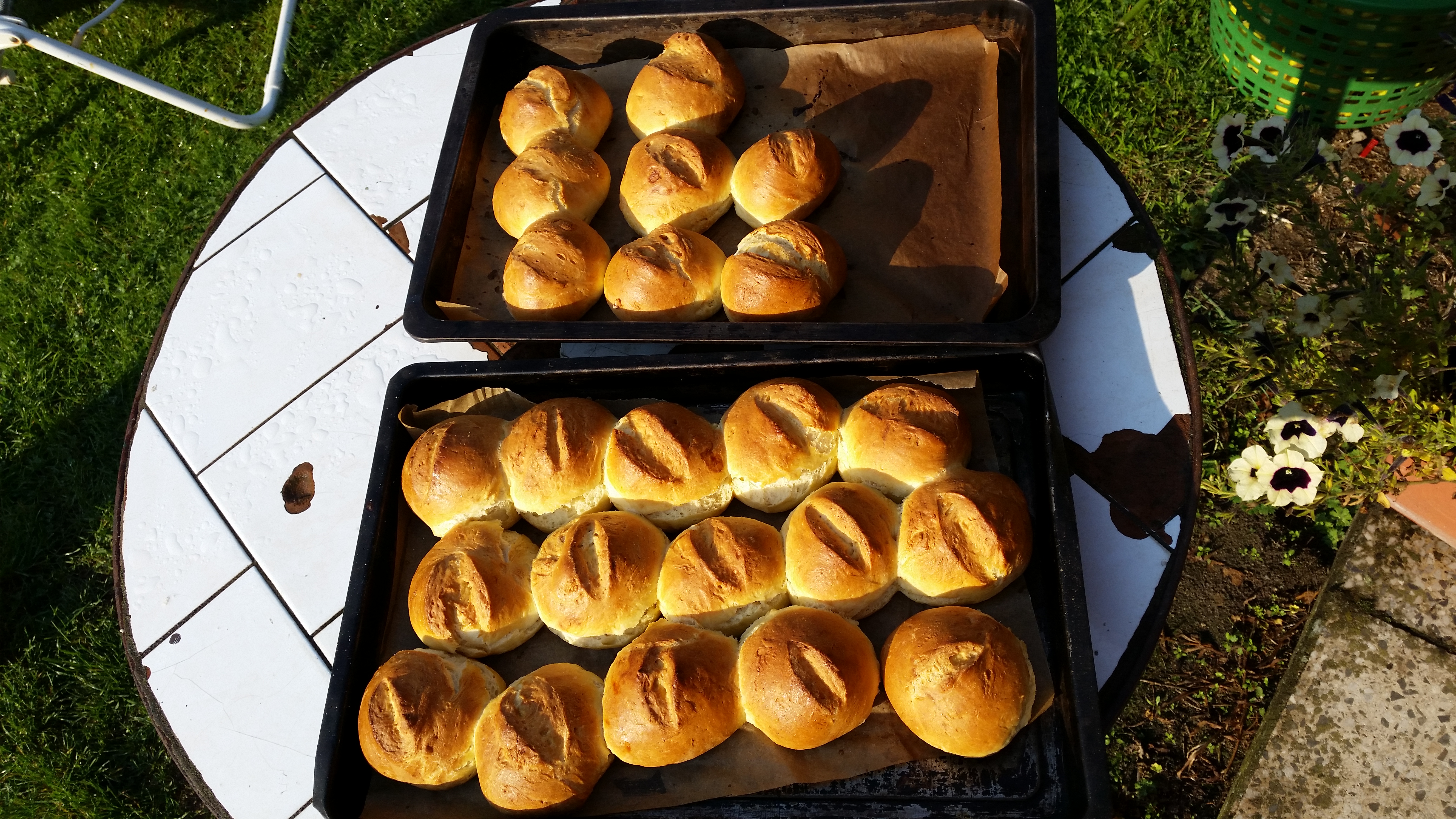 Im Steinofen gebackene Brötchen